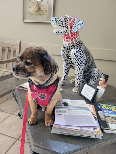 BluePearl Pet Hospital