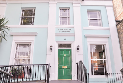 Young Veterinary Partnership Ealing