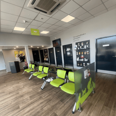 The Pet Vet Bristol