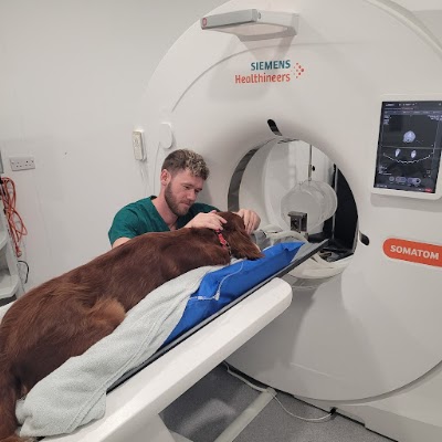 Advanced Vetcare London
