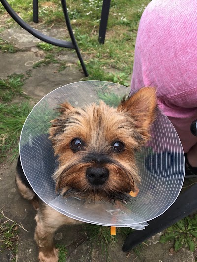 Vets4Pets - Leigh-on-Sea