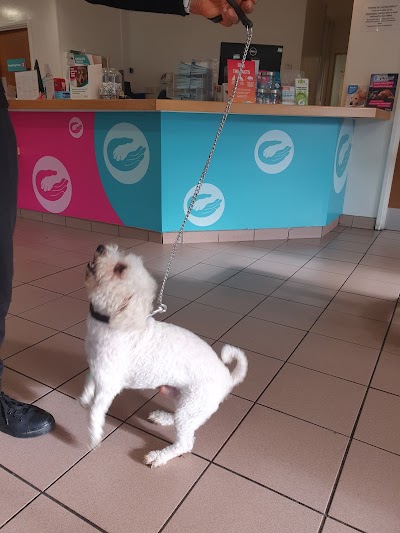 Coventry PDSA Pet Hospital
