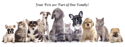 Cambridge Veterinary Care