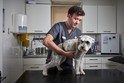 Grove Park Veterinary Clinic