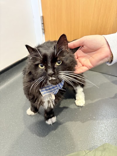 Westway Veterinary Group, Cat Clinic
