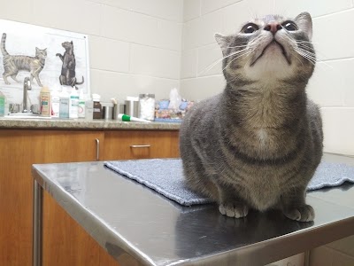 Beaverdale Veterinary Clinic