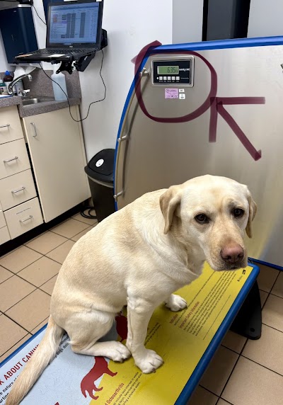 Chippens Hill Veterinary Hospital