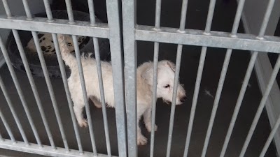 RSPCA Coventry & District Branch