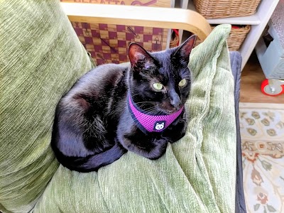 Trafford Veterinary Centre