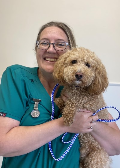 Pinebank Veterinary Surgery