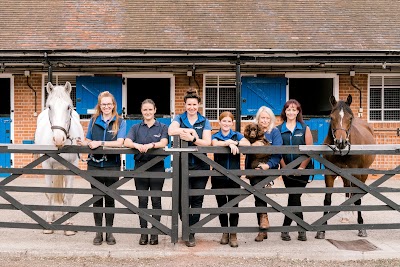 Clarendon Equine Vets