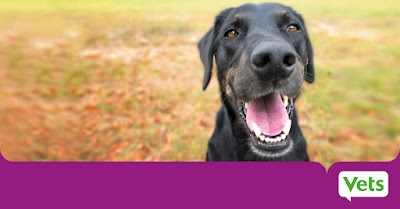 Vets for Pets Salford