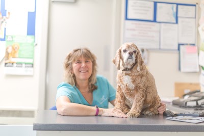 Robson & Prescott Veterinary Practice, West Moor