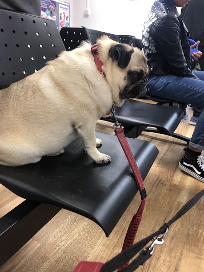 Nottingham PDSA Pet Wellbeing Centre, The Marian and Christina Ionescu Hospital