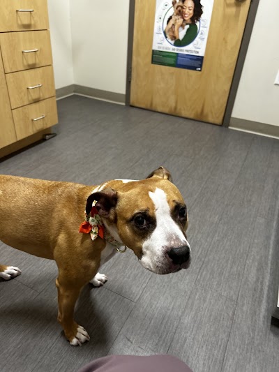 Evergreen Veterinary Clinic