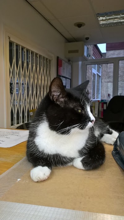 Kingston Veterinary Centre