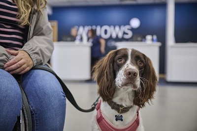 Willows Veterinary Centre & Referral Service