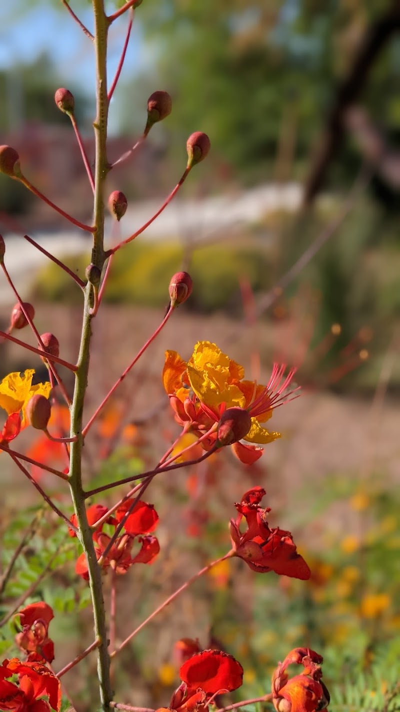 Price Park- Pickleball Courts photo 6