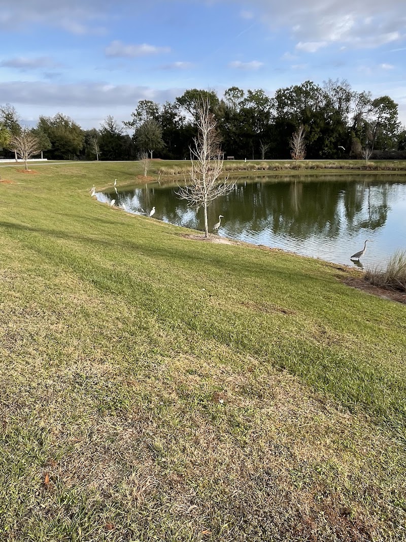 Everglades Pickleball Courts photo 5