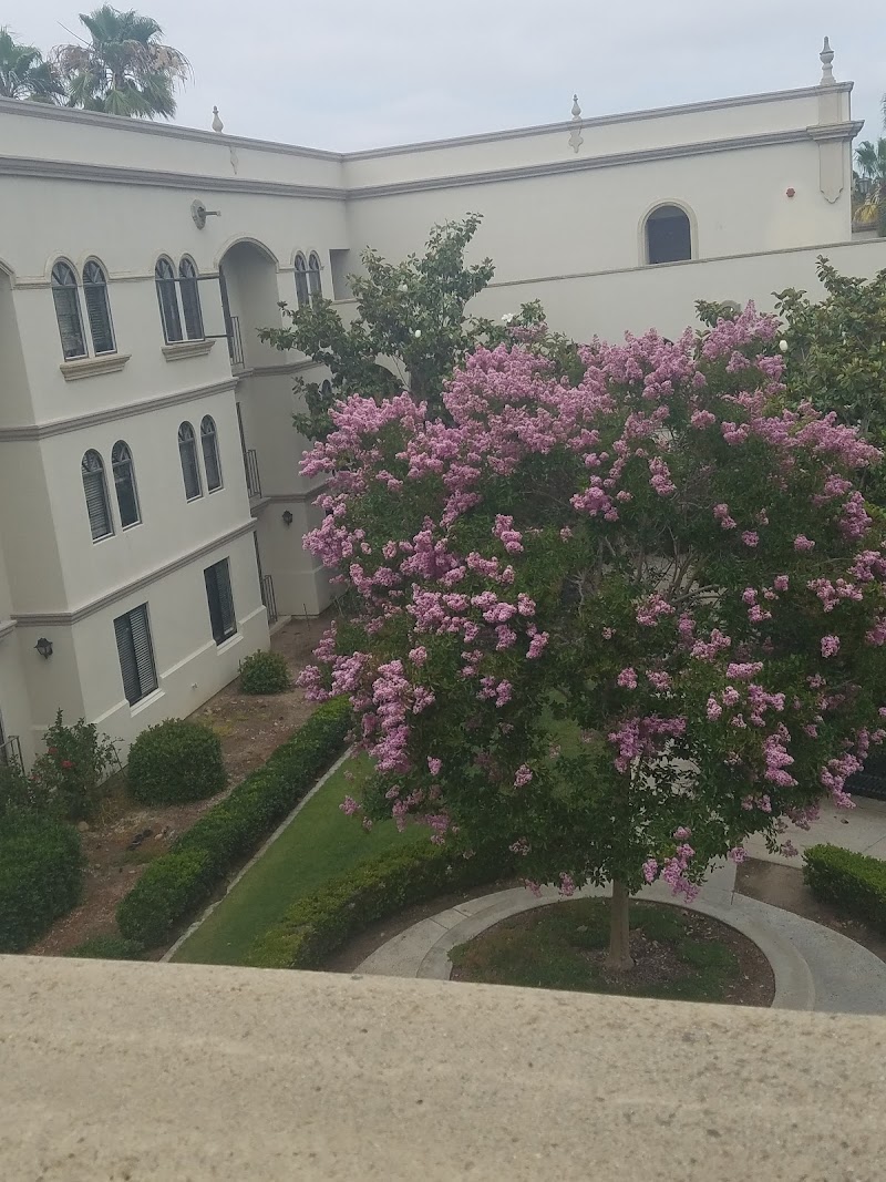 East Tennis Courts photo 4