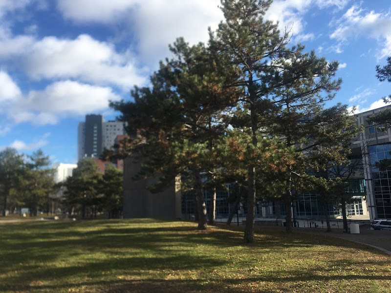 Southwest Corridor Park- Tennis Courts photo 5