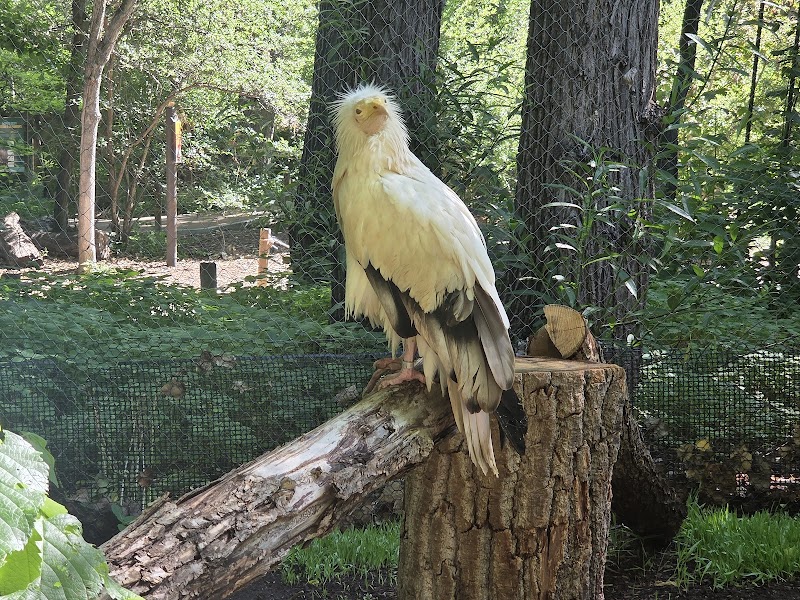 Denver City Park Handball Courts photo 1