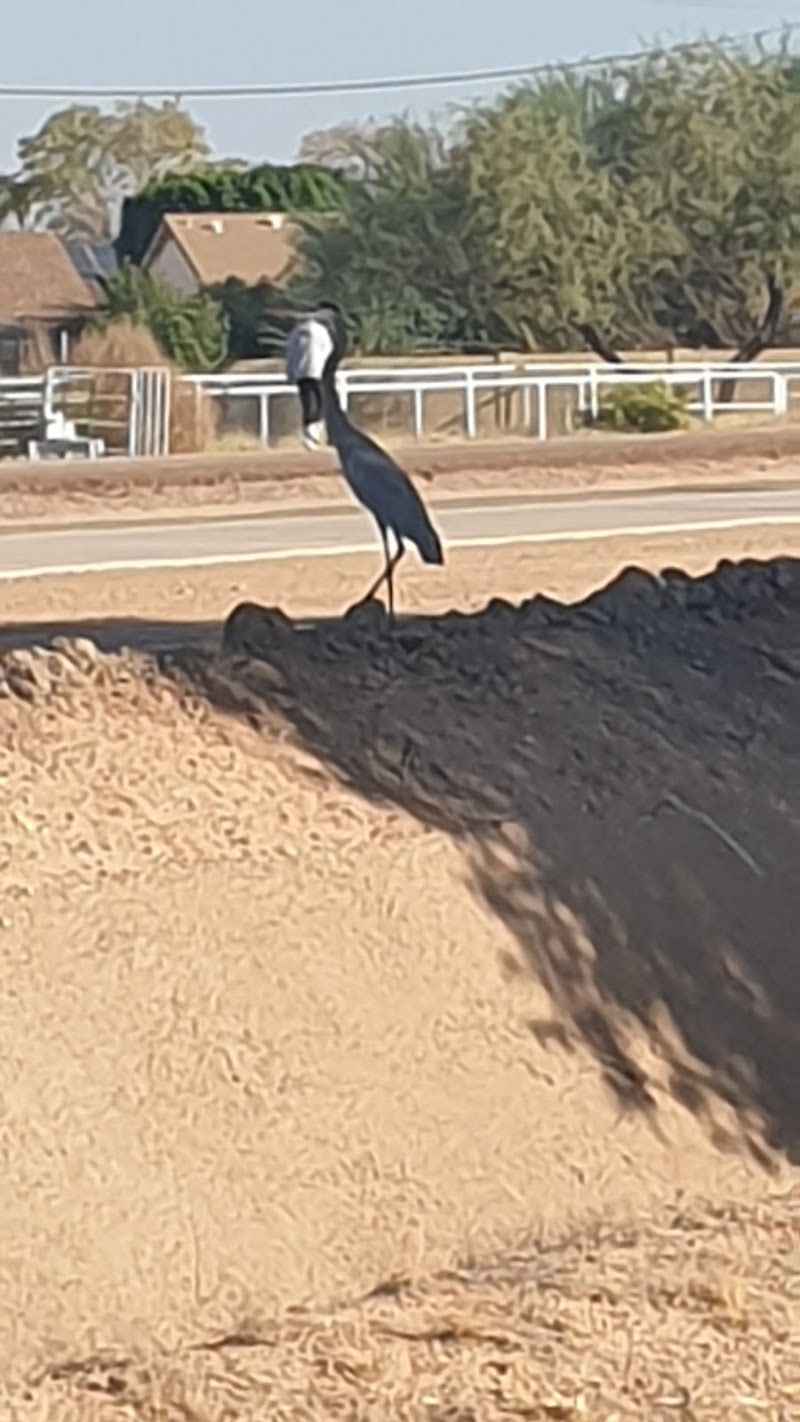 Crossroads District Park Basketball Court photo 5