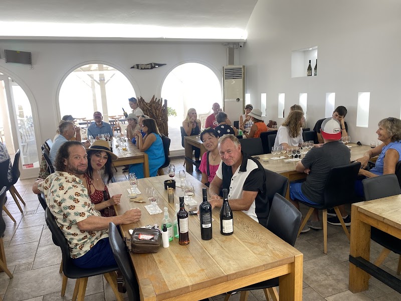 Ultimate Pickleball Greece Vacation photo 4