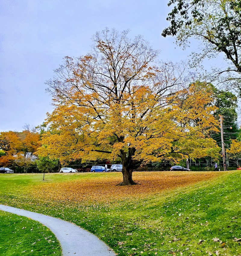 Warren Field Tennis Courts photo 3