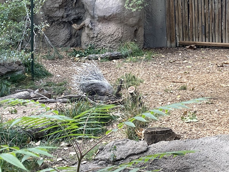 Denver City Park Handball Courts photo 3