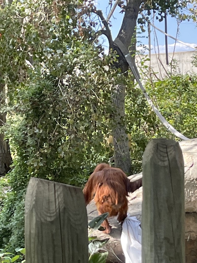 Denver City Park Handball Courts photo 2