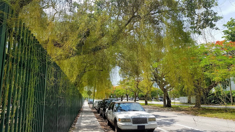 Triangle Park photo 5