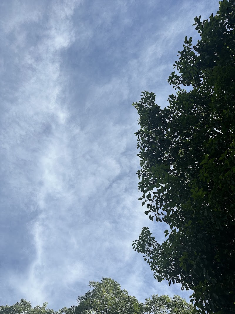 Triangle Park photo 4