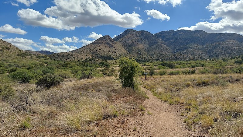 Canada del Oro Riverfront Park - Tennis/Pickleball Court photo 2