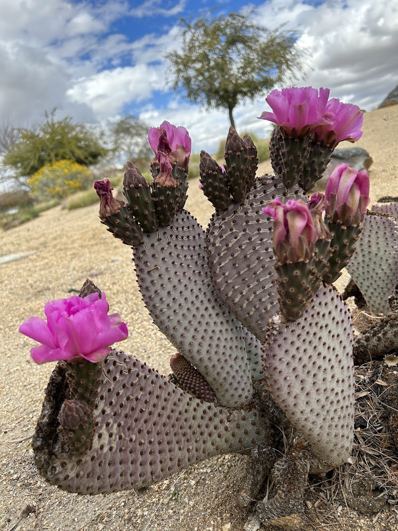 Gateway Park photo 4