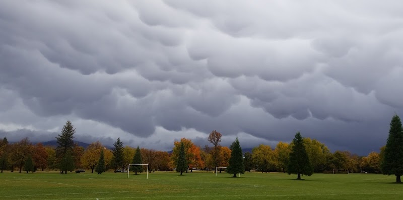 Ann Morrison Park Tennis Courts photo 4