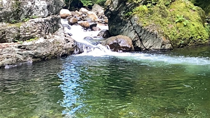 Little Field Park photo 4