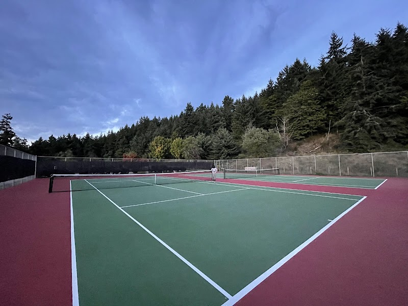 Shoreview Park Tennis and Pickleball Courts photo 3