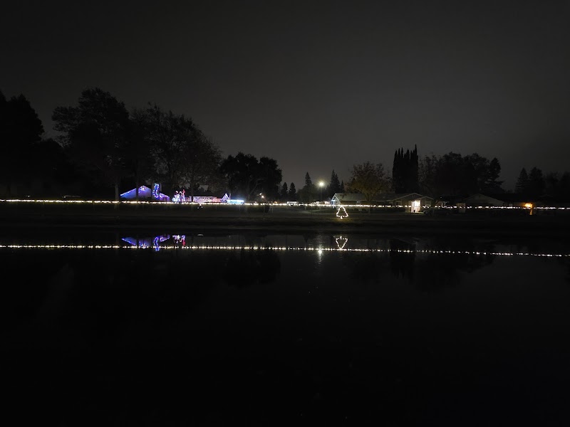 Tony Court Park photo 3