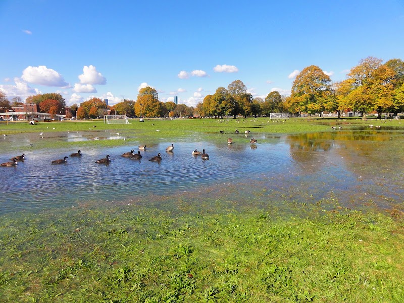 Joe Moakley Park photo 5