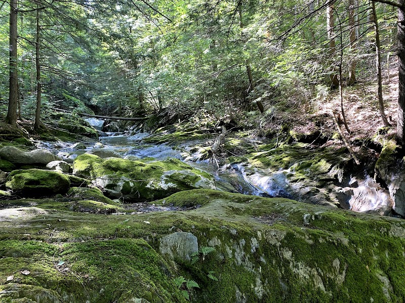 Little Field Park photo 3