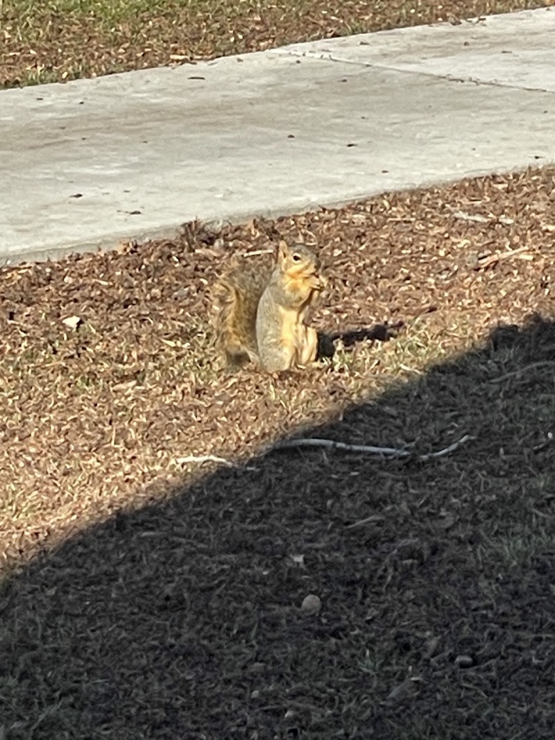 Hobble Creek Park photo 2