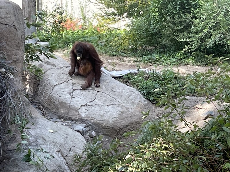 Denver City Park Handball Courts photo 4
