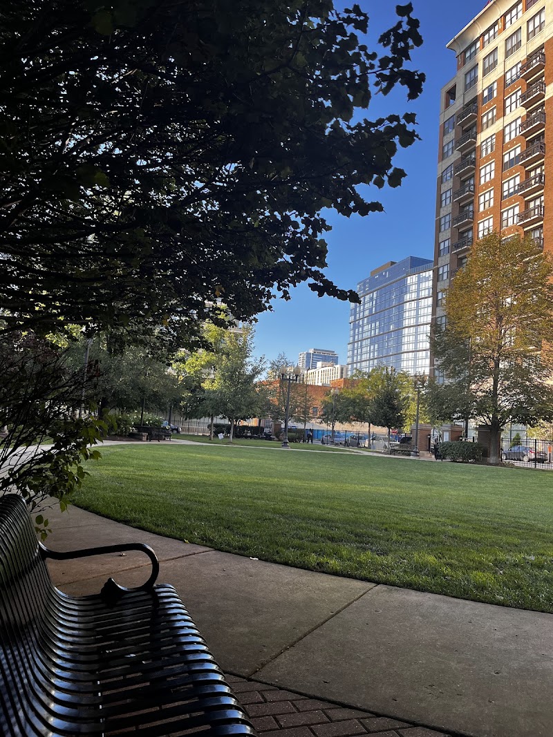 Chestnut Park photo 3