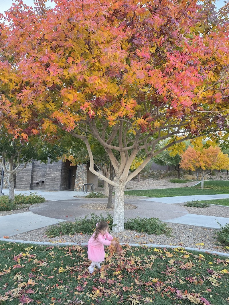 Oak Leaf Park photo 5