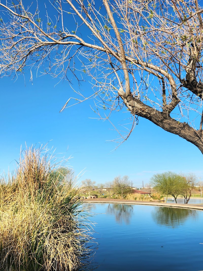 Discovery Park Basketball Court photo 5