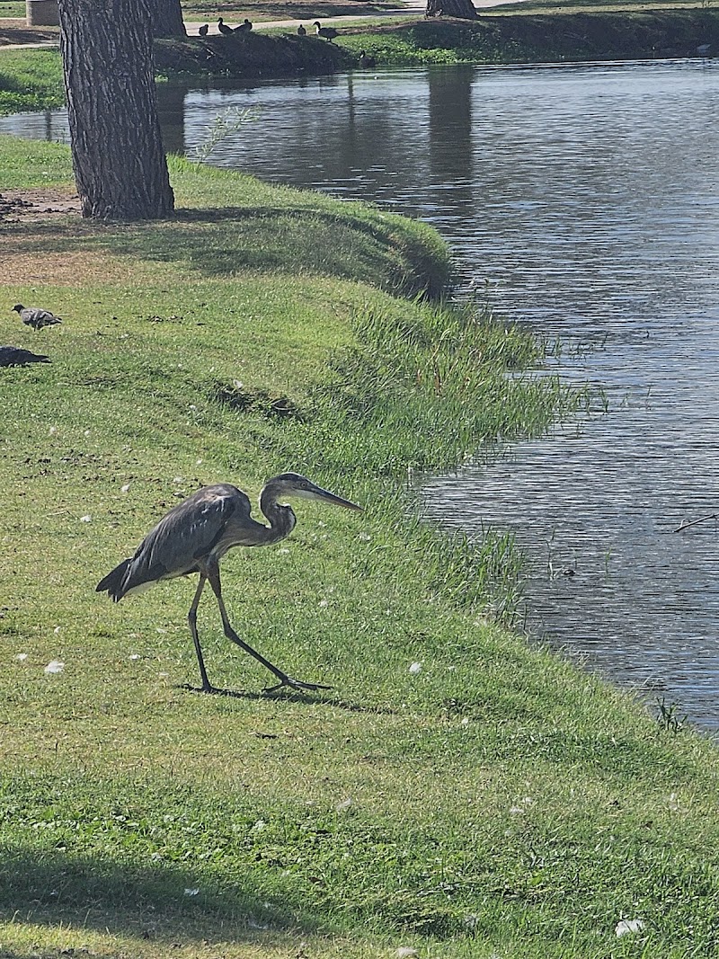 Indian Bend Park photo 2