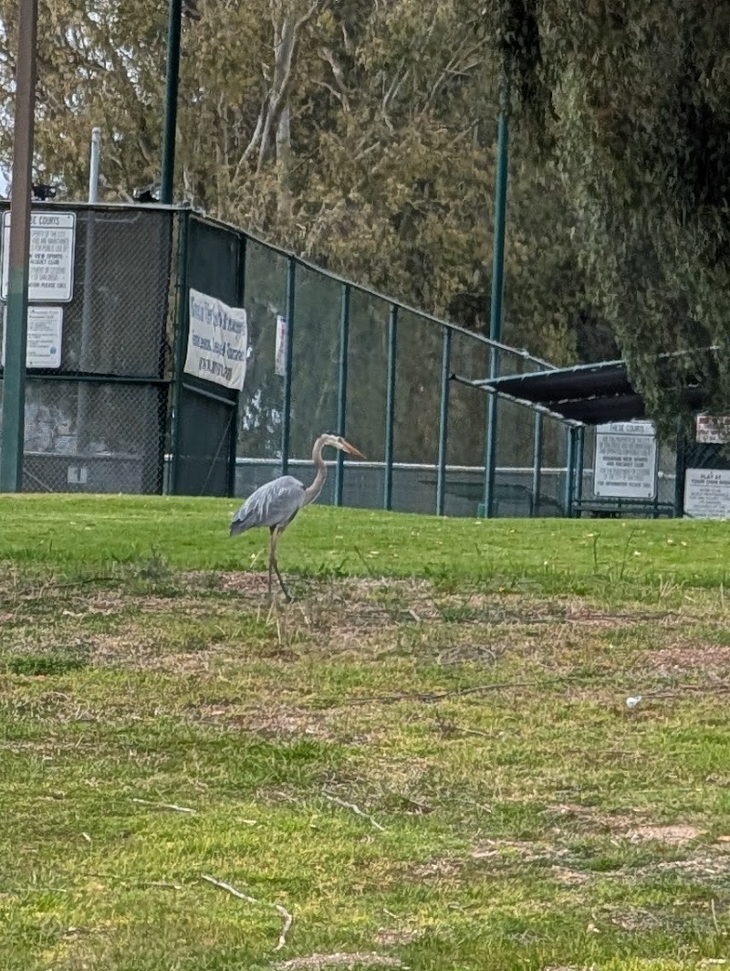 Mountain View Sports & Racquet photo 4