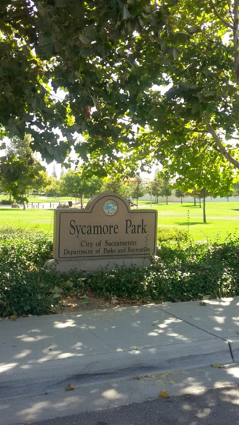 Sycamore Park photo 3
