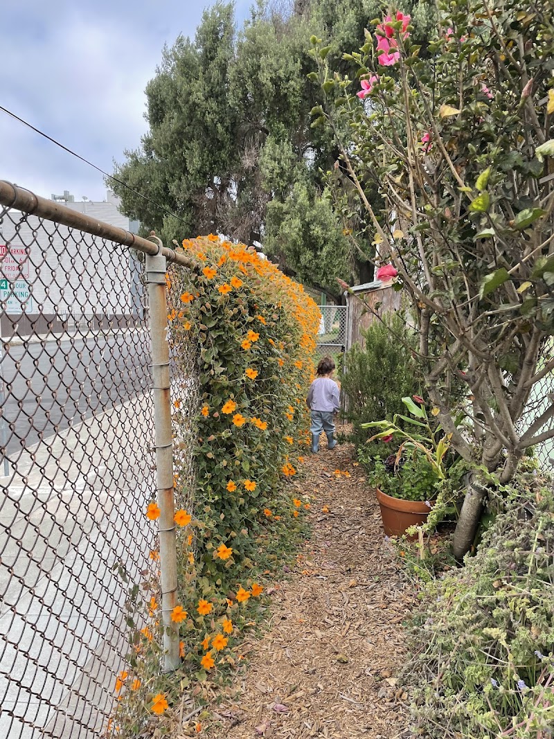 Jackson Playground Park photo 5